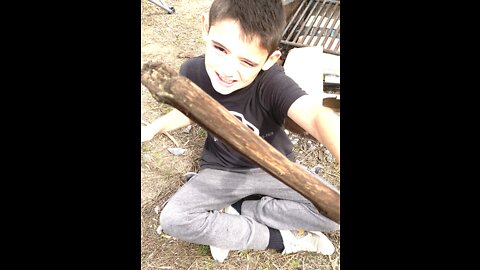 Whittling a stick￼￼