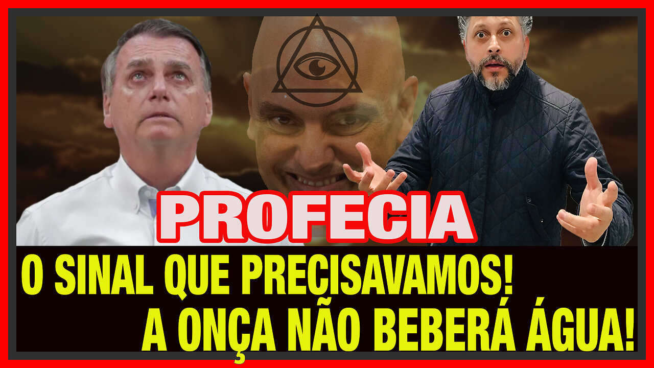 CHUPA ESSA! Chega de AGORA VAI! A Onça não vai beber água | Rodrigo Nascimento