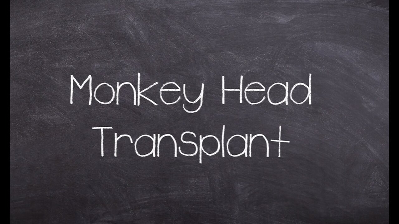 The Dark side of Science: The 1970 Monkey Head experiment