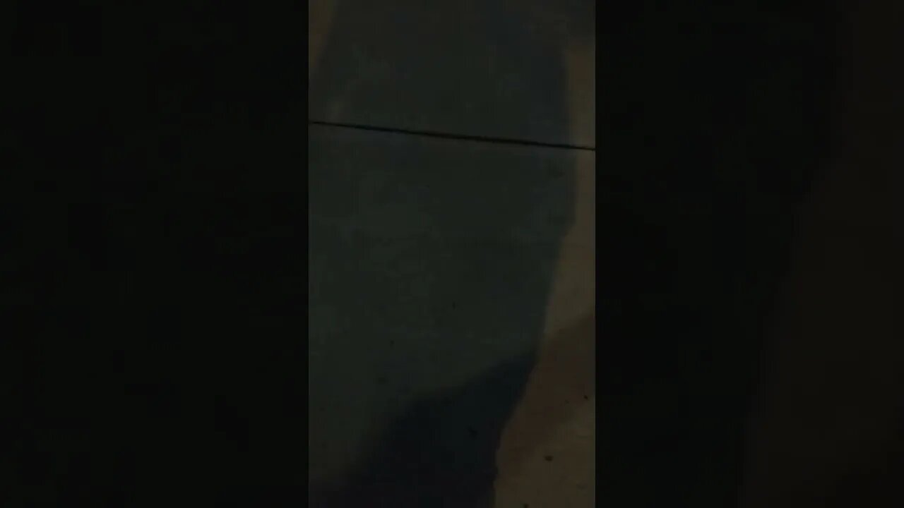 2 #gangstalkers pretending to ask about the beach bus.