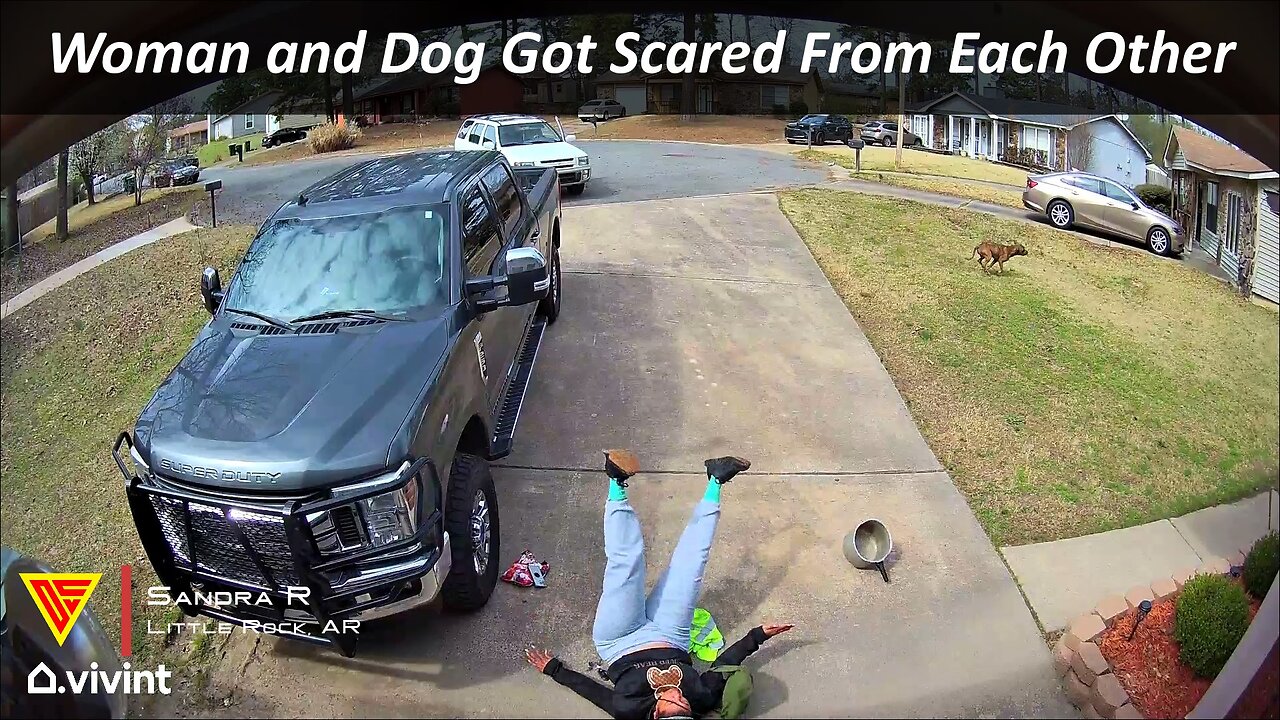 Woman and Dog Got Scared From Each Other Caught on Vivint Camera | Doorbell Camera Video