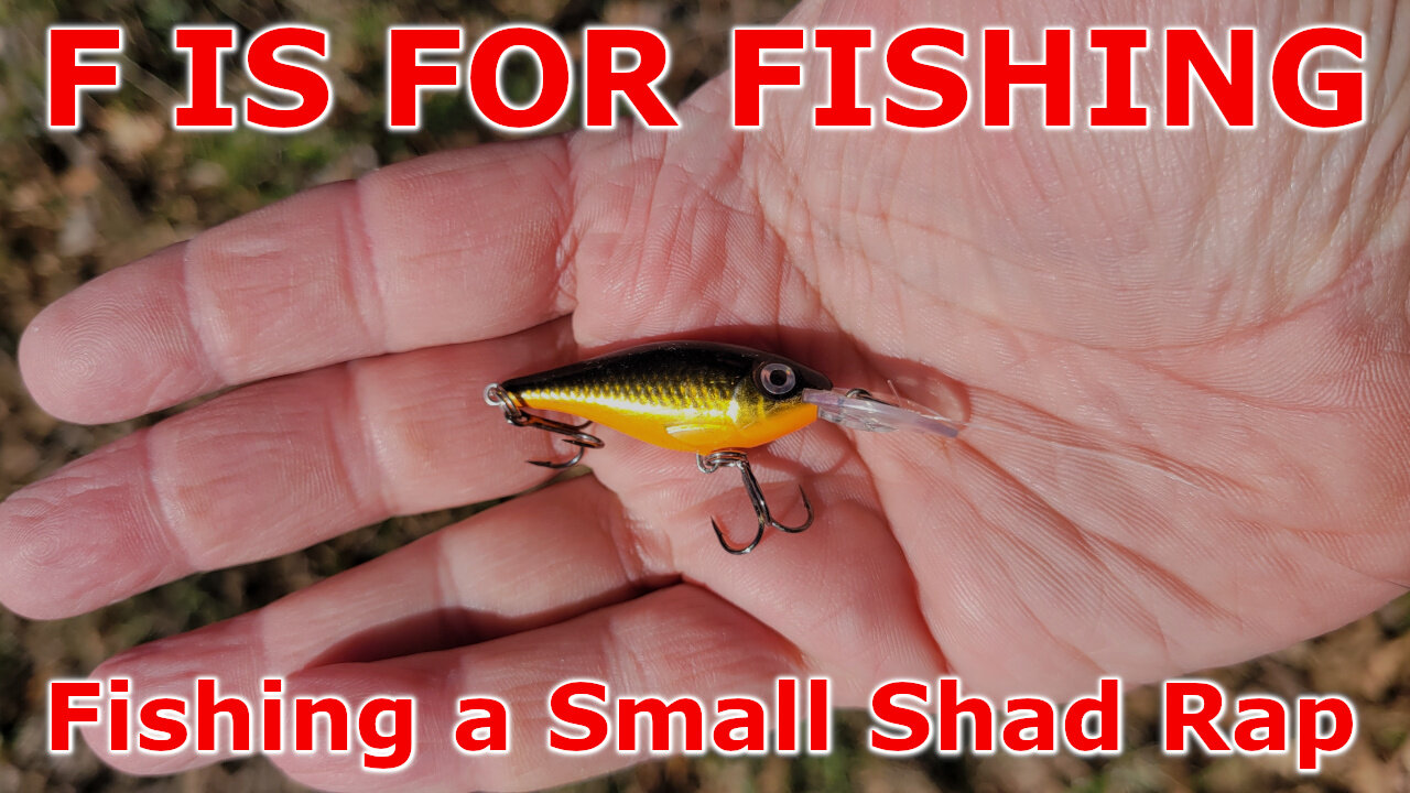 Fishing a Small Shad Rap