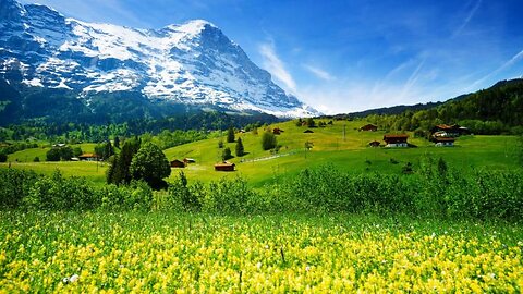 Discover the Breathtaking Switzerland View | Must-Watch Travel Experience!