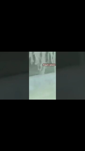 Fabricação de gelatina. As 17:00 no nosso canal