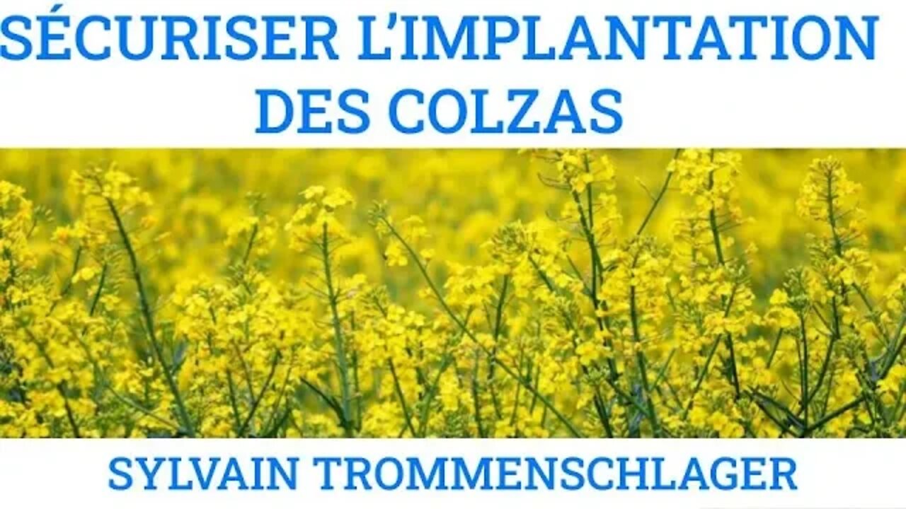 L'IMPLANTATION DES COLZAS - Sylvain TROMMENSCHLAGER