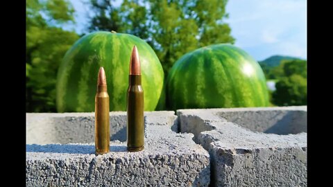 223 vs 308 - Cinder Block Watermelon Test