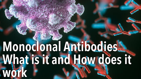 Monoclonal Antibodies - What is it?