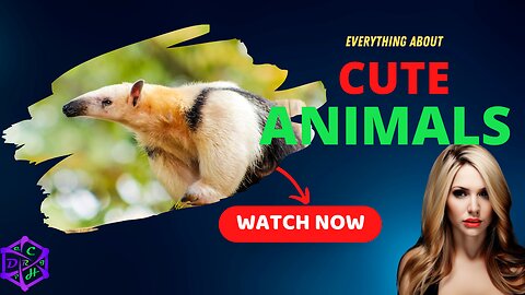Top 10 Adorable Animals That Will Melt Your Heart