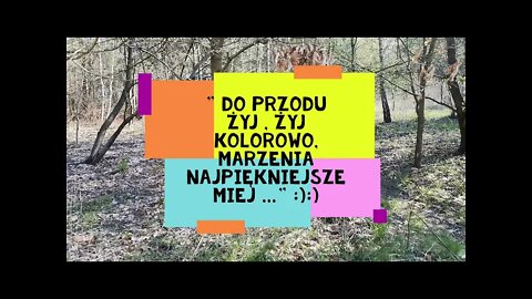 "do przodu żyj, żyj kolorowo , marzenia najpiękniejsze miej..." :):)