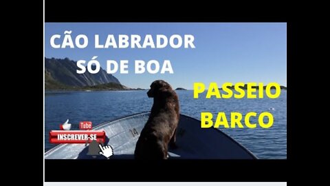 Labrador Dog!!! Ride on the High Seas!!!