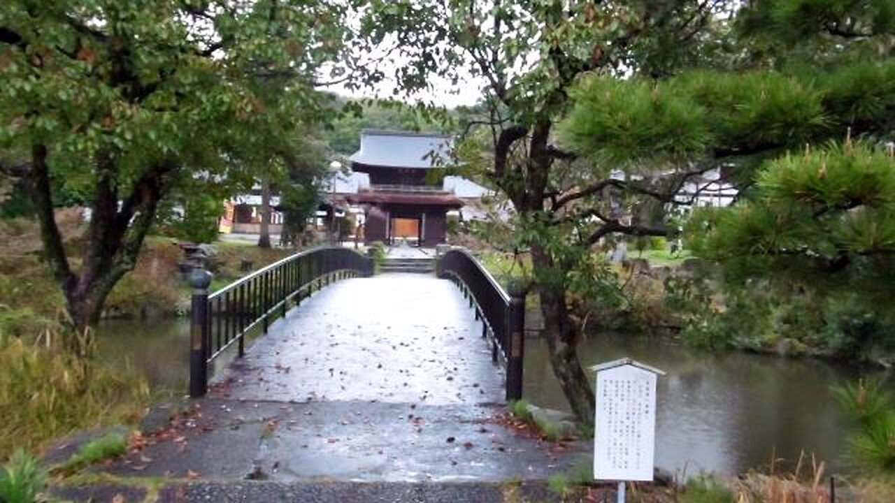 Rainy Spring Day Temple Walk in Japan