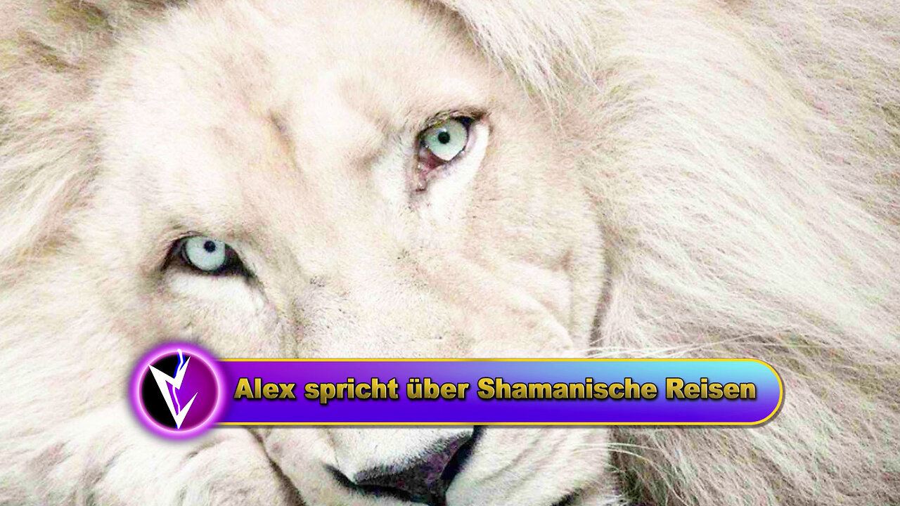 Alex über schamanische Reisen