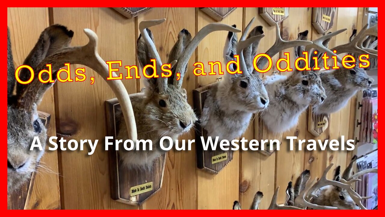 Odds, Ends, and Oddities: A Story From Our Western Travels