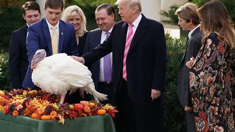 Trumpducken Pardon at the White House on the #LieStream. Mostly random. Come chat.