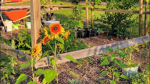 Florida Urban Homestead Garden Tour