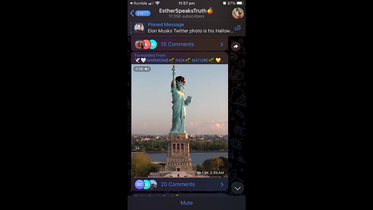 Statue of Liberty taken by ladybird cartoon