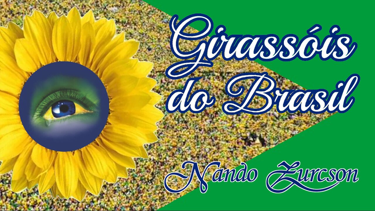 Girassóis do Brasil (canção) - Nando Zurcson