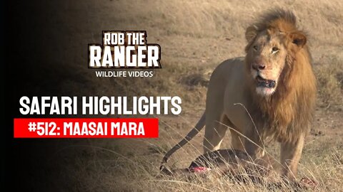 Safari Highlights #512: 04th December 2018 | Maasai Mara/Zebra Plains | Latest Wildlife Sightings