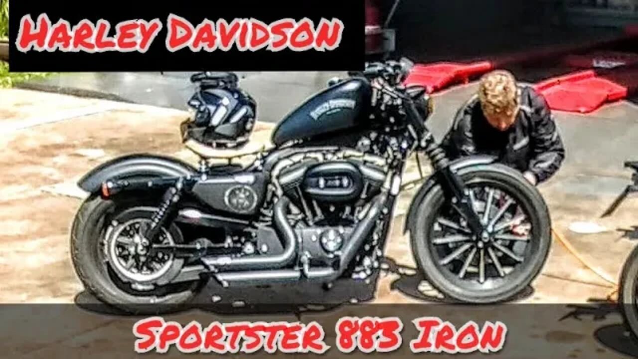 HARLEY DAVIDSON SPORTSTER 883 IRON - CUSTO MÉDIO DE MANUTENÇÃO E PRIMEIRAS IMPRESSÕES #LIBERACERMOTO