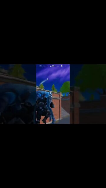 fortnite double el :)