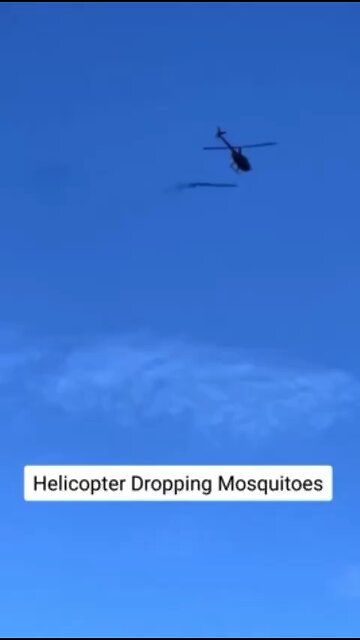 GMO Mosquitoes DUMPED On Public? This Is A War Crime!
