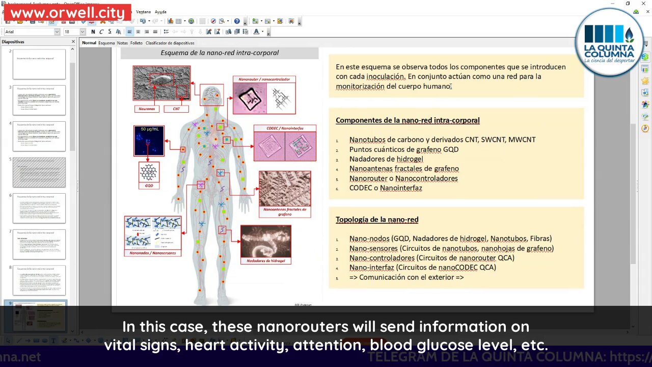 MAC-cinated: Intra-body nano-network