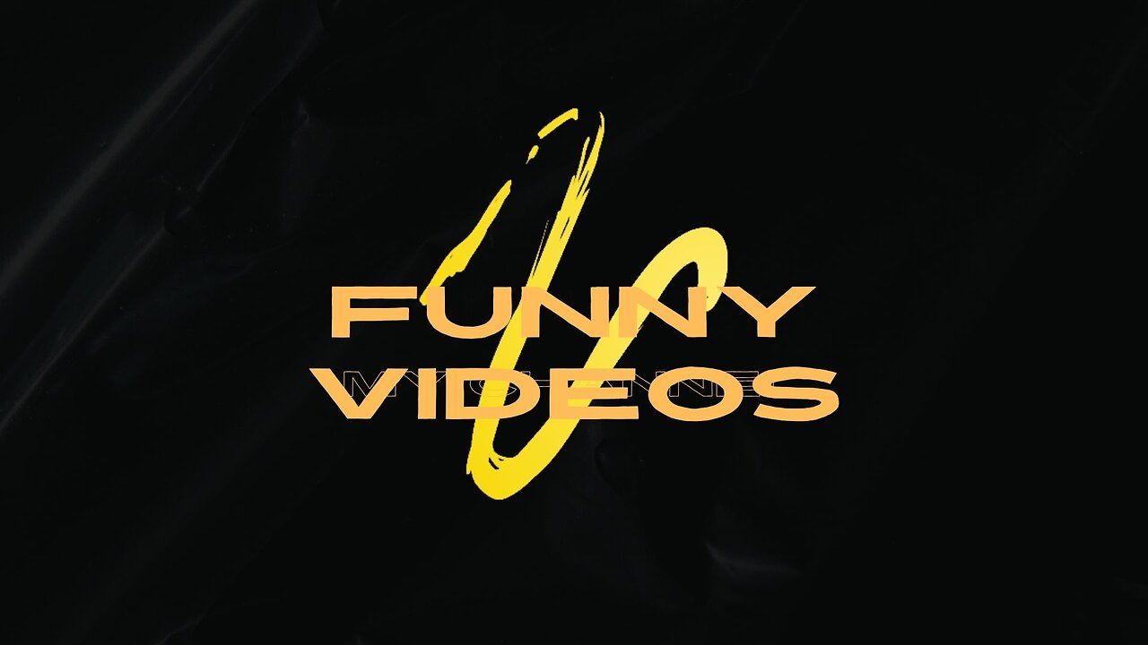 Funny video clips