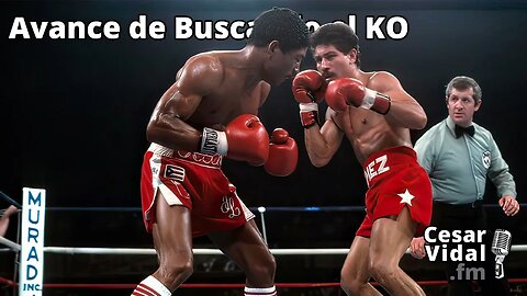 Avance de Buscando el KO - 20/10/23