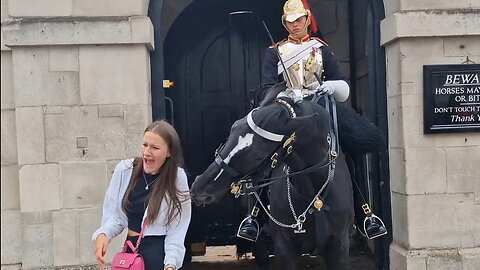 owww, Did you get that 😆 🤣 😂 #horseguardsparade