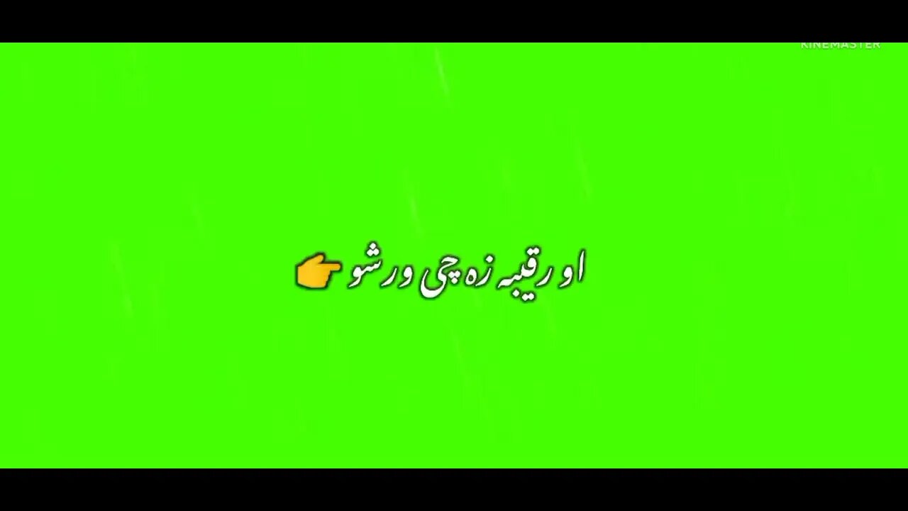 Pashto Green screen poetry