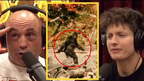 JRE: Why Haven't We FOUND Bigfoot?!