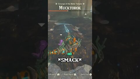 Beating Mucktorok With Sages Only In Zelda #zelda #tearsofthekingdom #shorts