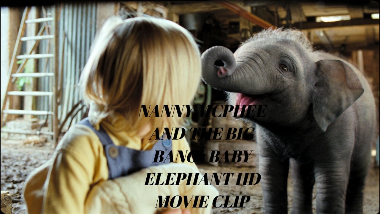 Nanny McPhee Returns Hollywood Movie (2010) - Pen-Stealing Baby Elephant Scene | Hollywood Movies