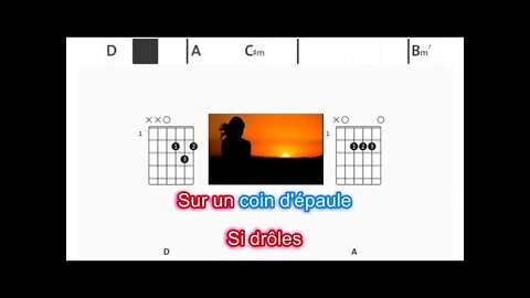 Julien Clerc & Vianney - Femmes je vous aime - (Chords & Lyrics like a Karaoke)