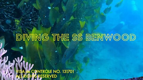 Diving the SS Benwood, wrecked off Key Largo (A Life Aquatic tribute film)