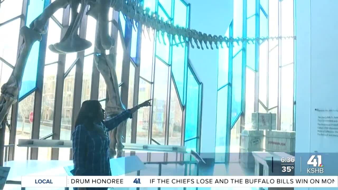 One Tank Trips: Quick year in review