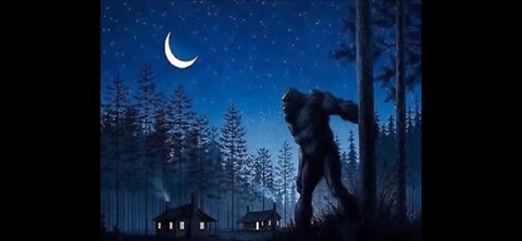 ROBERT MORGAN : BIGFOOT POCKET FIELD GUIDE pt2