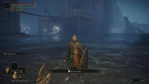 Elden Ring Castle Morne Gameplay Level Cleared
