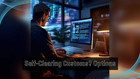 Self-Organizing Customs Clearance: Feasibility and Considerations