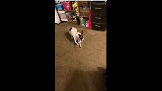 Princess and the bottle