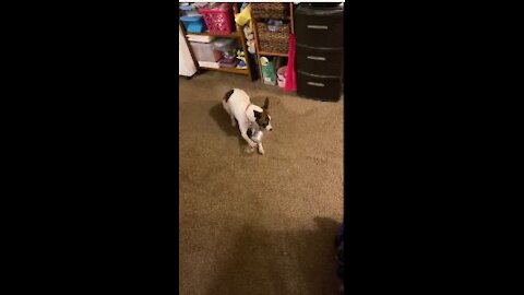 Princess and the bottle