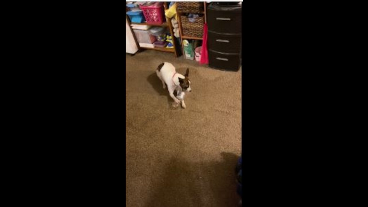 Princess and the bottle