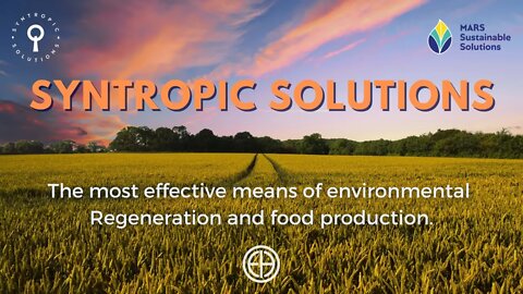 Syntropic Solutions