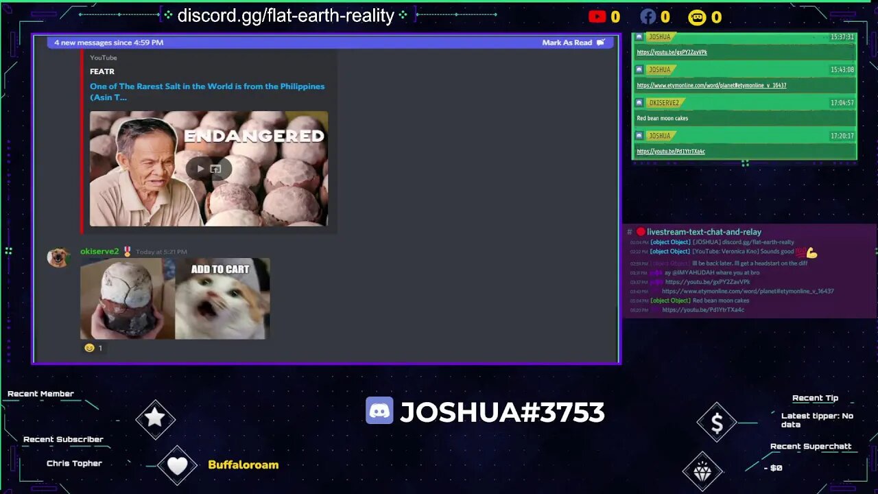 Flat Earth Reality Discord Server: Pilot Episode.