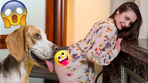 Animal and girl funny video sale