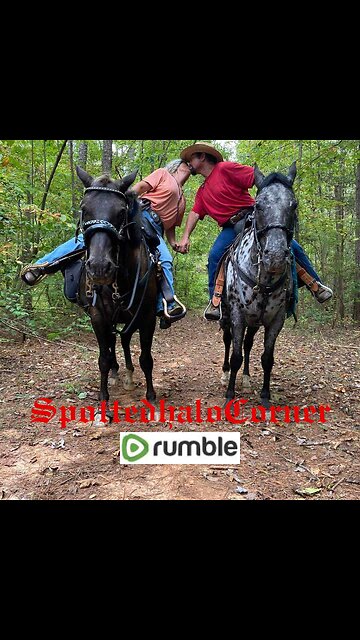 🏔♥️Mountain of Love♥️🏔