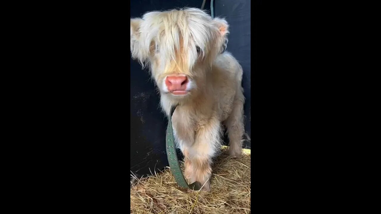 Isn't he handsome......