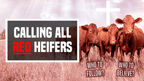 Calling All Red Heifers! - Ep 441 - 1-21-2024