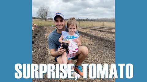 CIWTG | EP. 016 | 2021 FEB. | SURPRISE, TOMATO