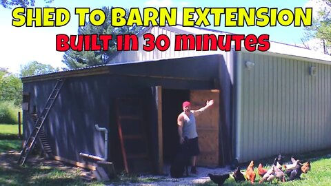 Ultimate LEAN-TO SHED Onto Existing Pole Barn In 30 Minutes + TOUR